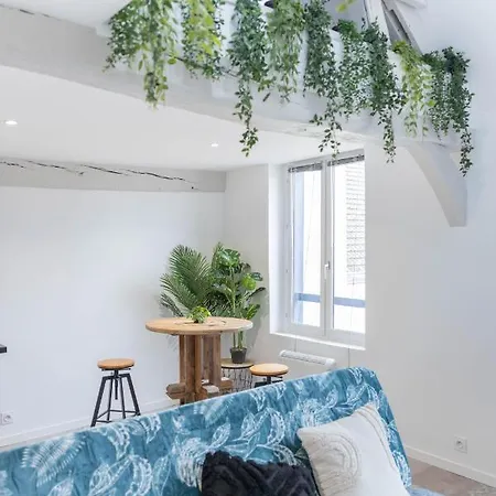 Daire Doux Cocon Tropical Au Coeur Du Centre *