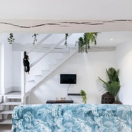 Apartament Doux Cocon Tropical Au Coeur Du Centre *