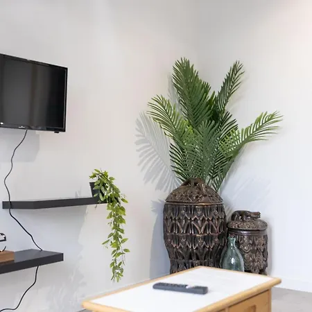 Doux Cocon Tropical Au Coeur Du Centre Troyes