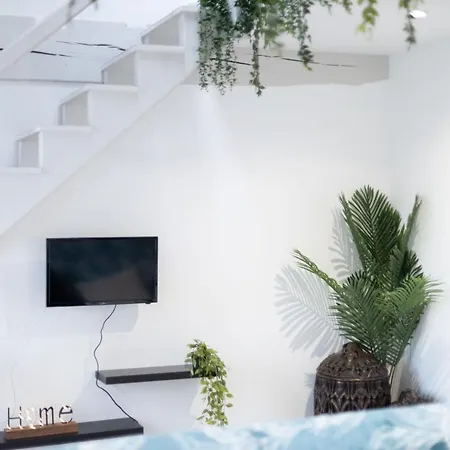 Doux Cocon Tropical Au Coeur Du Centre Apartament Troyes