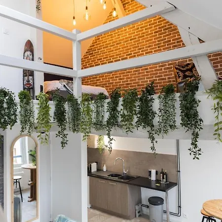 Daire Doux Cocon Tropical Au Coeur Du Centre