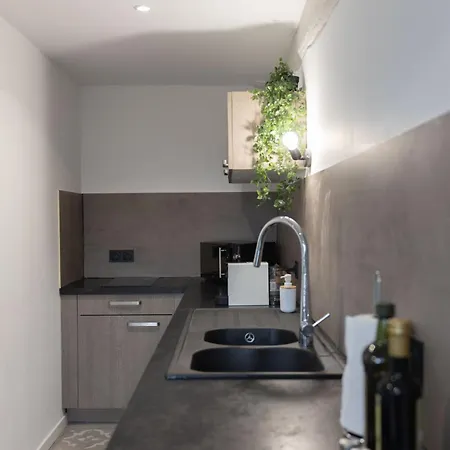 Doux Cocon Tropical Au Coeur Du Centre Appartamento