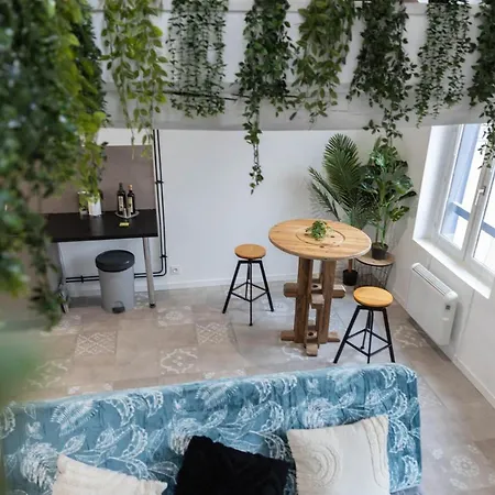 Doux Cocon Tropical Au Coeur Du Centre