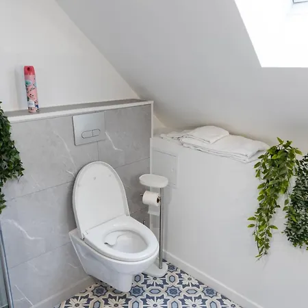 Doux Cocon Tropical Au Coeur Du Centre Daire