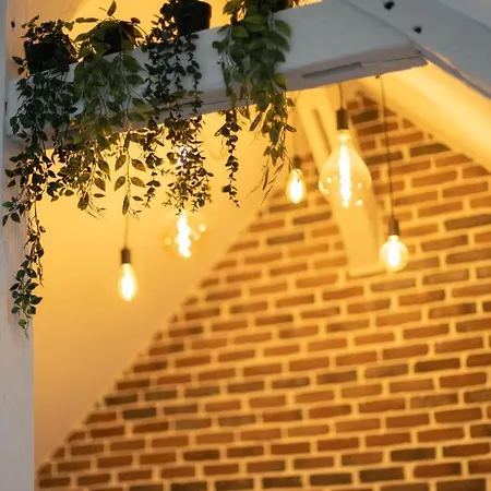 Doux Cocon Tropical Au Coeur Du Centre Daire Troyes