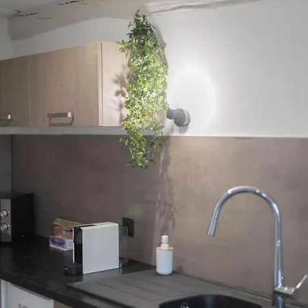 Doux Cocon Tropical Au Coeur Du Centre Apartament *