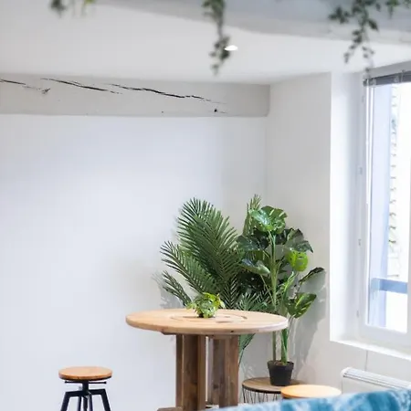 Doux Cocon Tropical Au Coeur Du Centre *