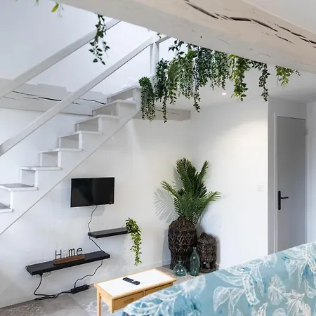 Doux Cocon Tropical Au Coeur Du Centre Apartament Troyes
