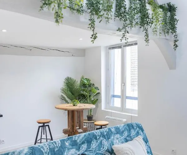 Apartamento Doux Cocon Tropical Au Coeur Du Centre *