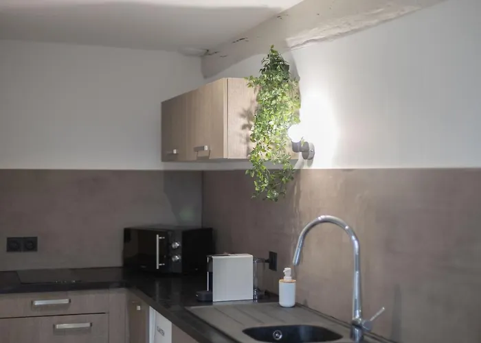 Apartamento Doux Cocon Tropical Au Coeur Du Centre *