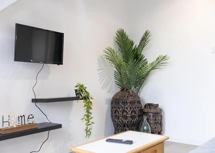 Doux Cocon Tropical Au Coeur Du Centre Troyes