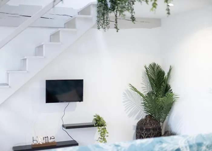 Doux Cocon Tropical Au Coeur Du Centre Apartamento Troyes