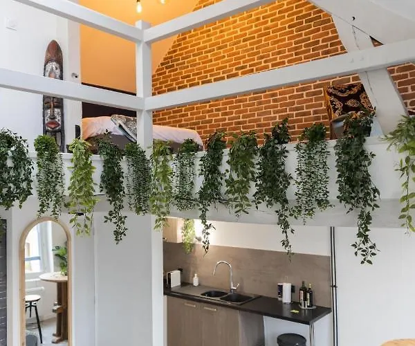 Apartamento Doux Cocon Tropical Au Coeur Du Centre