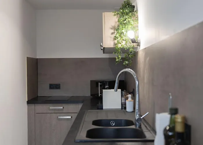 Doux Cocon Tropical Au Coeur Du Centre Apartamento