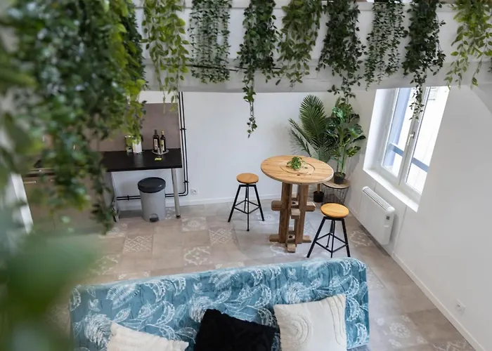 Doux Cocon Tropical Au Coeur Du Centre