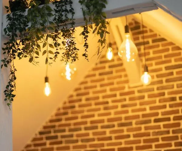 Doux Cocon Tropical Au Coeur Du Centre Apartamento Troyes