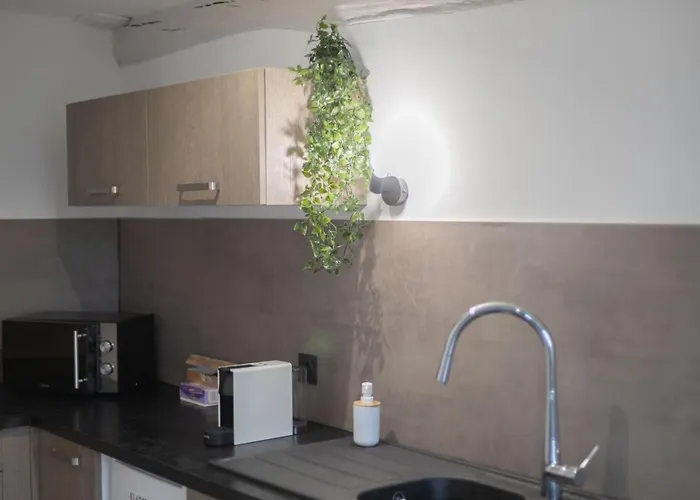 Doux Cocon Tropical Au Coeur Du Centre Apartamento *