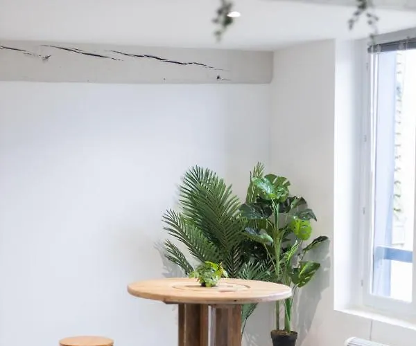 Doux Cocon Tropical Au Coeur Du Centre *