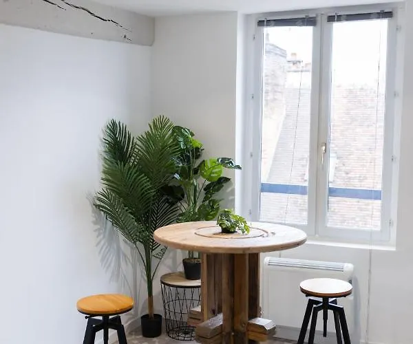 Doux Cocon Tropical Au Coeur Du Centre Apartamento