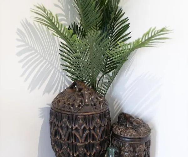 Doux Cocon Tropical Au Coeur Du Centre