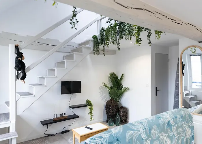 Doux Cocon Tropical Au Coeur Du Centre Apartamento Troyes